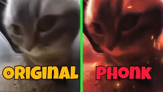 Chipi Chipi Chapa Chapa Original vs Phonk [upl. by Cleodell274]