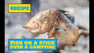 How to Cook Fish On a Stick Over a Campfire vol 1  Easy Outdoors Cooking [upl. by Olshausen]