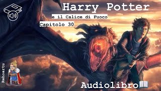 Audiolibro  Harry Potter e il calice di fuoco  Lettura e Commento Cap 30 [upl. by Dnilasor]