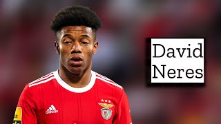 David Neres  Skills and Goals  Highlights [upl. by Pessa772]