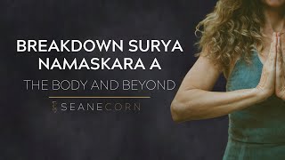 1 Hour Alignment Based Yoga Lab Breaking Down Surya Namaskara A  Sun Salutation with Seane Corn [upl. by Aset]