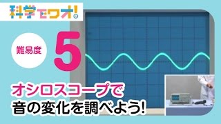 【自由研究】科学実験！オシロスコープで音の変化を調べよう！【科学でワオ！365】 [upl. by Ardnasak]