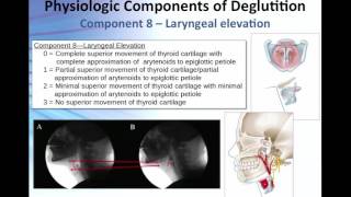 Overview of the 17 Physiologic Components of Swallow Function [upl. by Nylekoorb]