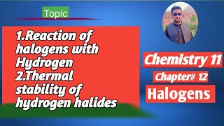 lec2 Reaction of Halogens with hydrogen  Thermal stability of hydrogen halides [upl. by Mccready]