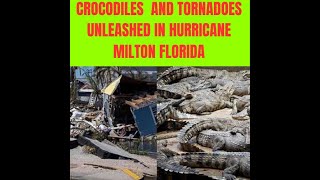 HURRICANE MILTON UNLEASH THE ALLIGATORS amp CROCS IN DA STREETS OF FLORIDA [upl. by Sheehan]