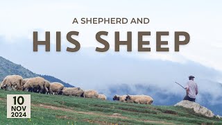 A Shepherd and His Sheep  Pastor Jon Stewart [upl. by Atazroglam275]