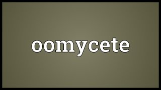 Oomycete Meaning [upl. by Yl]