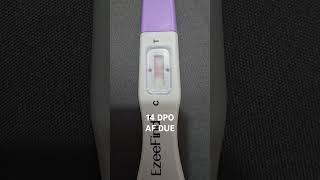 TTC 1  14 DPO  Pregnancy test  AF Due  Negative  22 Sept 2024  Baby Bump ttcjourney [upl. by Esir]