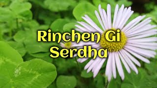 Rinchen Ghi serdha  Vocal off Karaoke  Namgay Jiggs Bhutanese song [upl. by Milicent76]