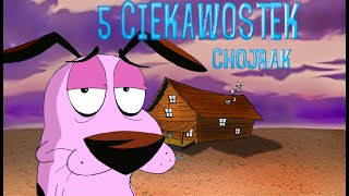 5 CIEKAWOSTEK O CHOJRAK TCHÓRZLIWY PIES [upl. by Yatzeck209]