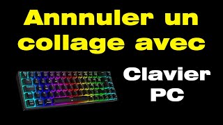 Comment annuler le collage avec le clavier pour rétablir le texte initial [upl. by Ahseid464]