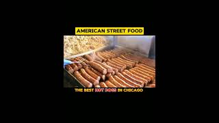 Chicagos Best Hot Dogs American Street Food [upl. by Bock]