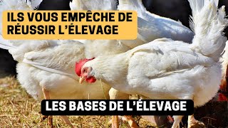 La solution pour réussir l’élevage aviculture [upl. by Atahs]