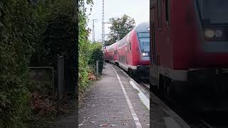 schwarzwaldbahn in Gengenbach [upl. by Annawd]