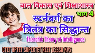 Triarchic Theory of IntelligenceSternberg ka buddhi ka tritantra siddhantस्टर्नबर्ग का त्रितंत्र [upl. by Borden]