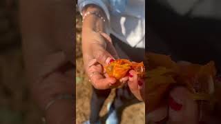 Wild persimmons food cooking organic rustic [upl. by Charo981]