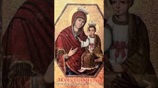 Salve Regina Mater Misericordiae 🙏❤️ avemaria maria jesuschrist jesus salveregina love [upl. by Nilak]