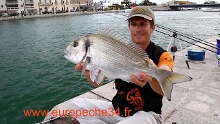 Pêche des grosses dorades de Sète par Europêche34 [upl. by Niatsirt]