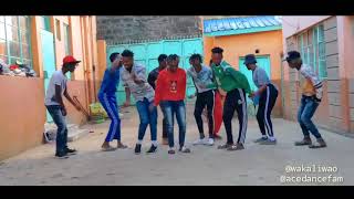 Dj Madness Fess ka fe bang Dance Video MOB Dancers [upl. by Niriam864]