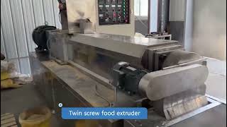 Fish food pellet extruder machine [upl. by Ardnot]