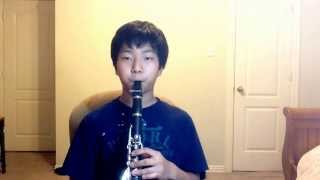 AOT Attack On Titan theme song clarinet solo [upl. by Ynnaffit]