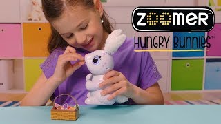 Zoomer  Hungry Bunnies  How To [upl. by Niltak770]