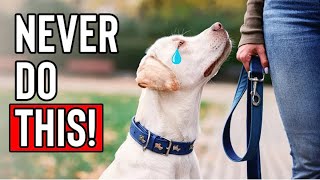 10 Things a Dog Will Never FORGIVE [upl. by Collar]