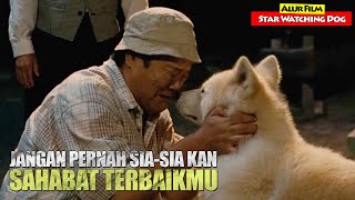 Terimakasih Atas Kesetiaanmu  Alur Cerita Film STAR WATCHING DOG 2011 [upl. by Arrim]