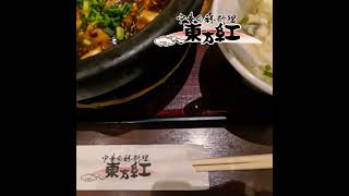 【Chinese Food in Tokyo Japan】Enjoying Authentic Sichuan Hot Pot Mapo Tofu  Lunch at Toho Kou 東方紅 [upl. by Carlin]