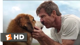 A Dogs Purpose 2017  My Best Life Scene 710  Movieclips [upl. by Guyon]