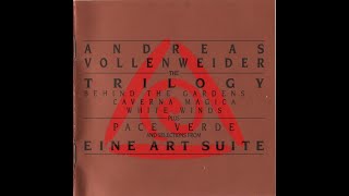 ANDREAS VOLLENWEIDER  TRILOGY  SWISS AMBIENT  FUSION MUSIC  1990 [upl. by Ecinnaj]