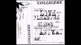 Colligere  Demo 2000 [upl. by Sande]