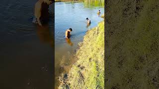 Cast Net Fishing in the River  Beautiful Nature shortvideo [upl. by Hilario936]