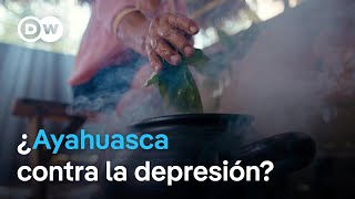 La ayahuasca y su aplicación en la medicina actual [upl. by Ailero583]