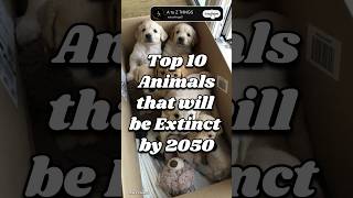 Top 10 Animals that will be Extinct by 2050 shorts [upl. by Oirramaj]