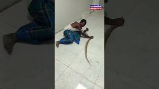 PATIENT CAME WITH SNAKE TO HOSPITAL [upl. by Wulf]