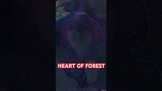 A HeartShaped Forest in New Caledonia💚🥹 googleearth [upl. by Fiorenze]