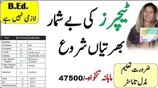 Government Teachers Jobs 2024  Educators Jobs 2024 Online Apply [upl. by Kneeland]