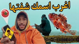 تجربة مذهلة أغرب سمكة في البحر مغامرة لا تُنسى 🎣🐟quot [upl. by Naor]