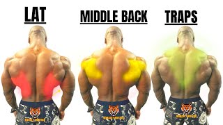 15 BEST BACK EXERCISES TO GET BIGGER BACK FAST  MUSCULATION DOS RÉSULTAT RAPIDE [upl. by Yssac]