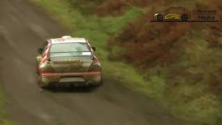 2019 Grizedale Stages Rally  KAZAACCIDENT  Aras Dinçer [upl. by Der]