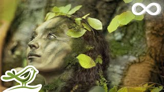 Dance of Life Relaxing Celtic Music for Meditation amp Sleep by Peder B Helland [upl. by Calabrese]