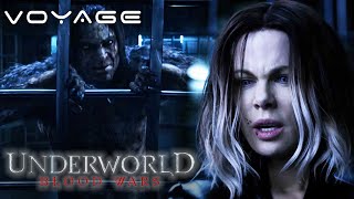 David Becomes the New Coven Leader  Underworld Blood Wars 2016  Now Scaring [upl. by Luann305]