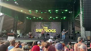 The Sheepdogs  Feeling Good Live  Rock The Park 2024 [upl. by Acnalb]