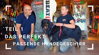 Das perfekt passende Hundegeschirr  Teil 1 [upl. by Rhetta]