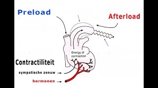 Preload en afterload [upl. by Stalder]