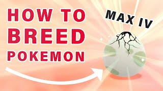 How to Breed Competitive Pokemon with MAX IVs ► Pokemon Brilliant Diamond  BDSP [upl. by Atsirtal705]