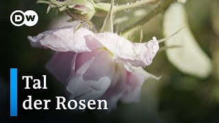 Tal der Rosen  Euromaxx [upl. by Enneyehs]