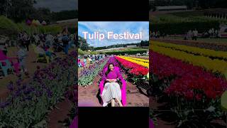 Have You Ever Seen The Stunning Tulip Festival In Australia Malayalam Vlogs [upl. by Ariane]