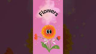 Rhyming flowers flowers cartoon youtubeshorts ytshorts animation kidzforyou [upl. by Nappie410]